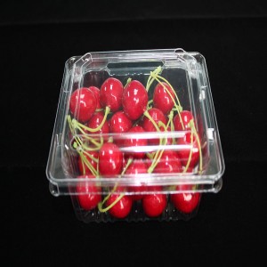 บรรจุภัณฑ์อาหารหอย